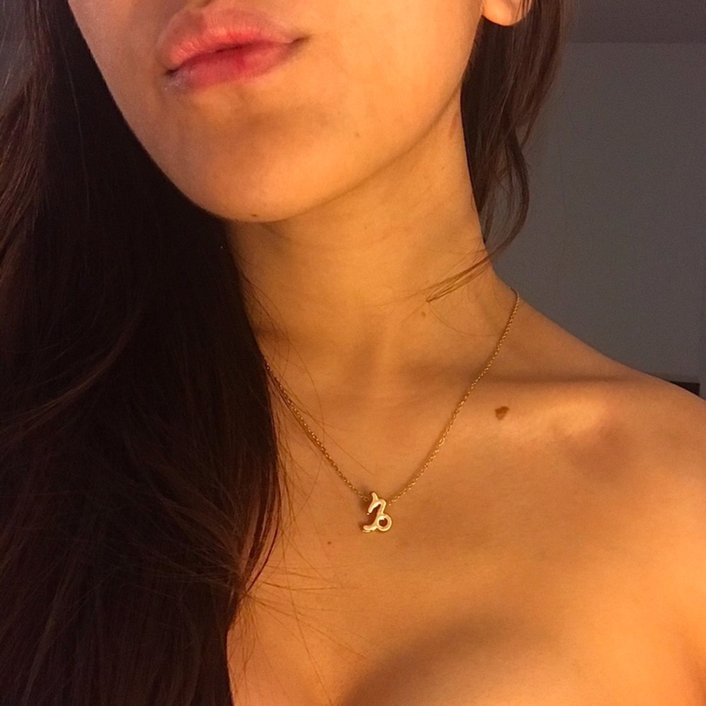 Capricorn Charm Minimalist Boho Dainty Necklace - Picture 7 of 9